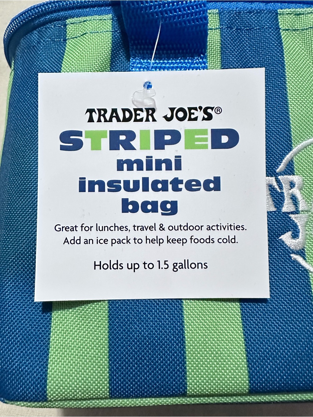 Trader Joe's | Insulated Bag | Striped Insulated Mini Tote | Blue & Green - Picture 8 of 11